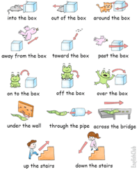 Prepositions - Class 6 - Quizizz