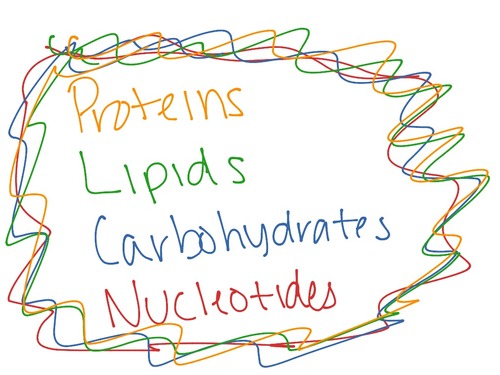 macromolecules - Class 8 - Quizizz