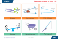 dao động điều hòa đơn giản - Lớp 6 - Quizizz