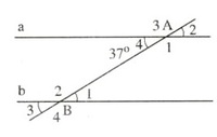 khoảng cách giữa hai đường thẳng song song - Lớp 7 - Quizizz