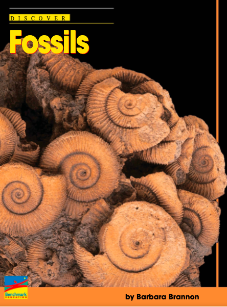 fossils - Class 1 - Quizizz