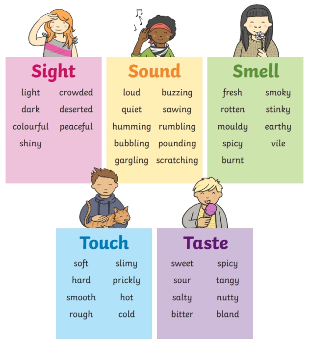 Sensory Words - Class 6 - Quizizz