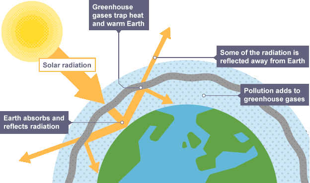 Climate Change Quiz