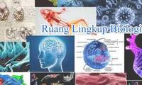 biologi tanaman - Kelas 10 - Kuis