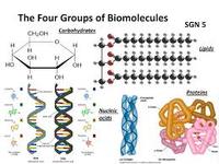 química Orgánica - Grado 9 - Quizizz