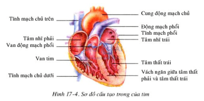 mạch điện và mạch dc - Lớp 8 - Quizizz