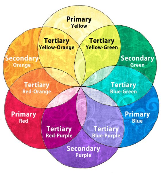 Color Terminology Quiz