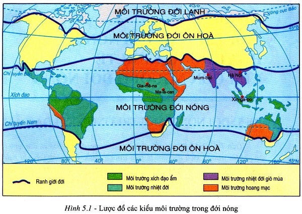 Dược lý - Lớp 7 - Quizizz