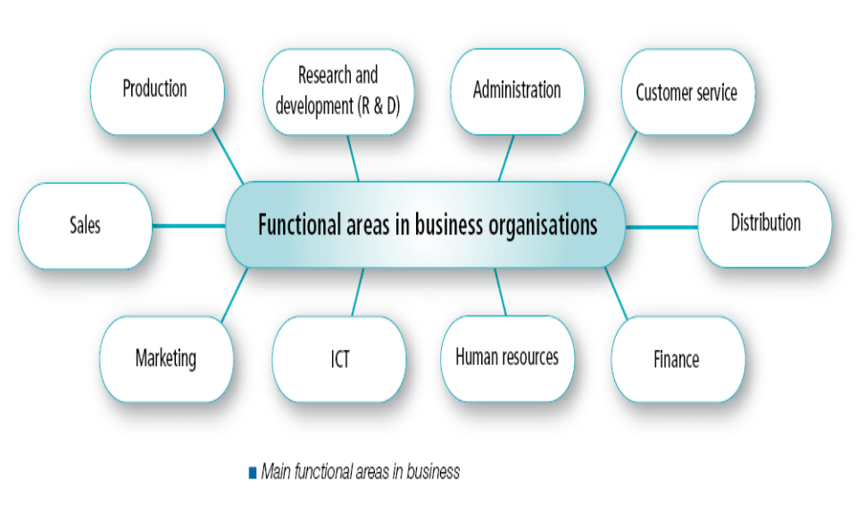 business-functional-areas-252-plays-quizizz