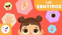 Los 5 Sentidos - Grado 10 - Quizizz