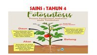 fotosintesis - Kelas 5 - Kuis