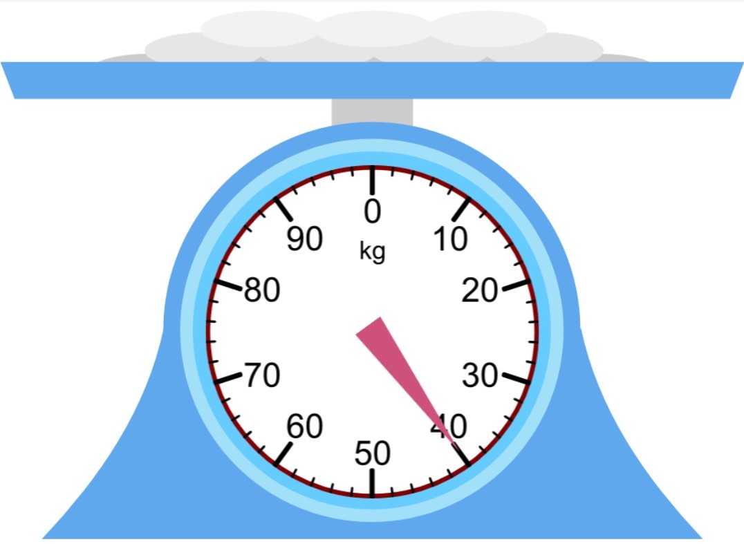 Kilogram and Gram | 183 plays | Quizizz