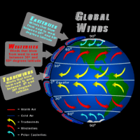 Global Winds and Local Winds