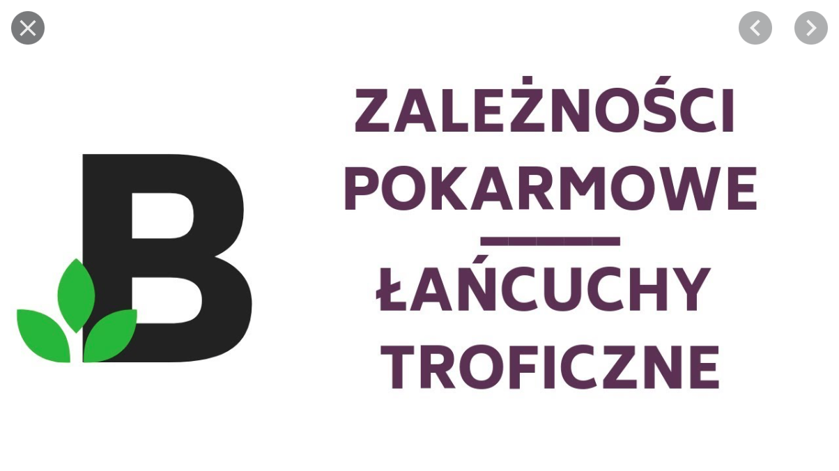 łańcuch pokarmowy - Klasa 8 - Quiz