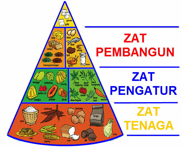 Ilmu Gizi X Tbg Pas Gasal 2020 Quizizz