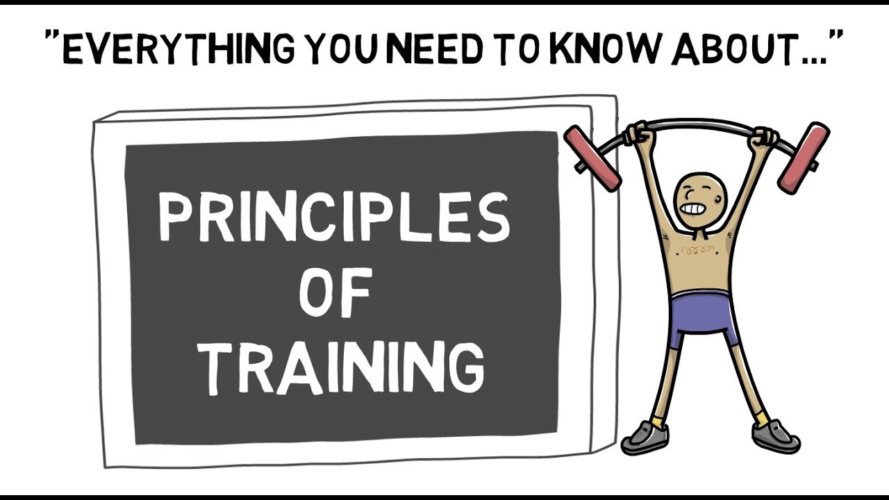 principles-of-training-gcse-pe-quizizz