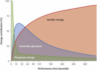 Energy - Year 11 - Quizizz