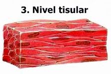 Nikiel - Klasa 3 - Quiz