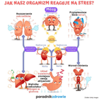 Układ Słoneczny - Klasa 5 - Quiz