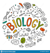 Biologi - Kelas 7 - Kuis