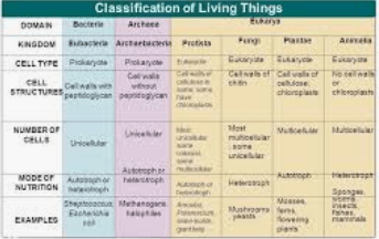 Living Things Classification Quiz - Recovery/Makeup | Quizizz