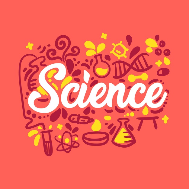 3rd Grade: 3rd Partial SCIENCE | Quizizz