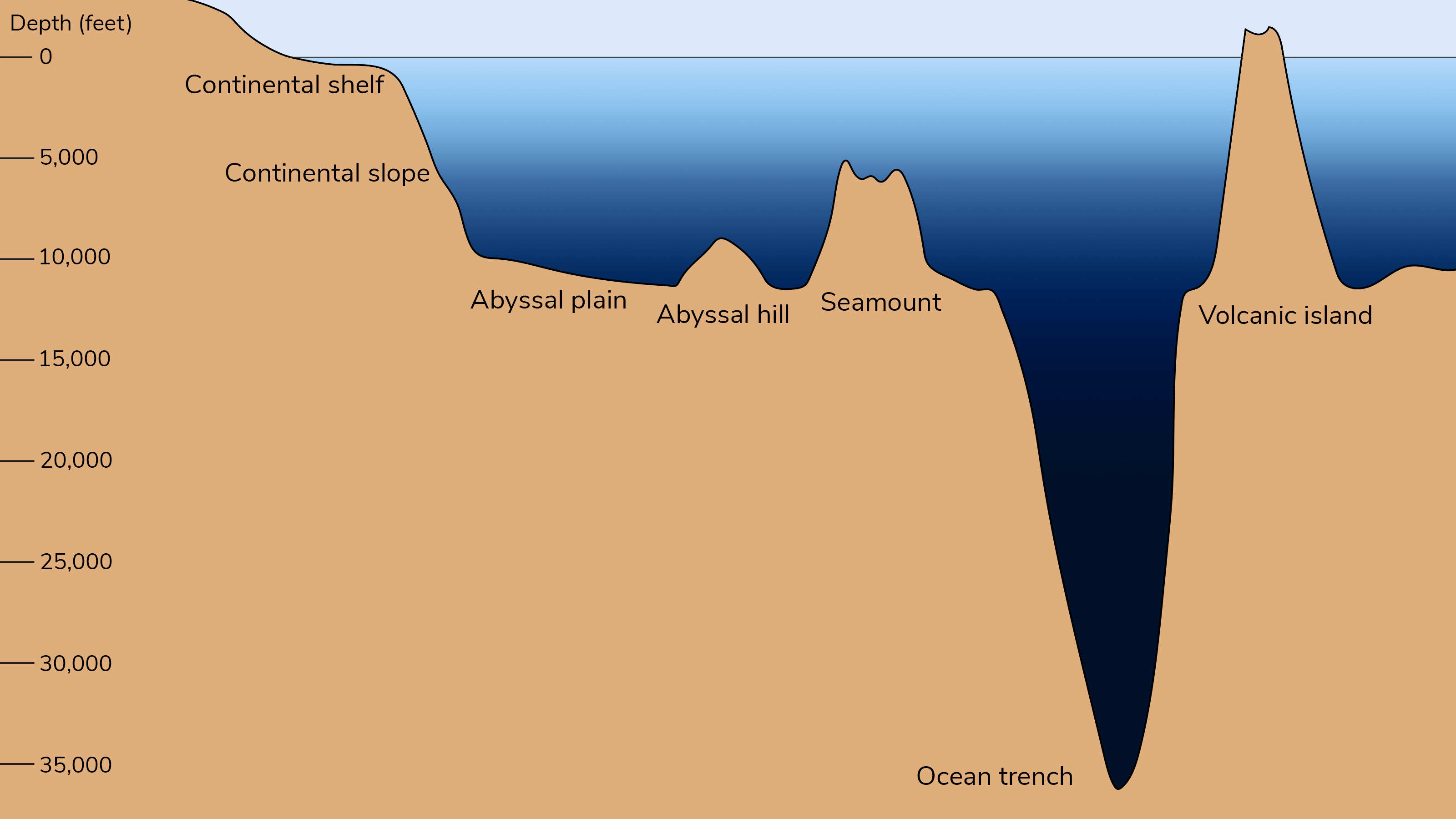 oceans - Grade 4 - Quizizz