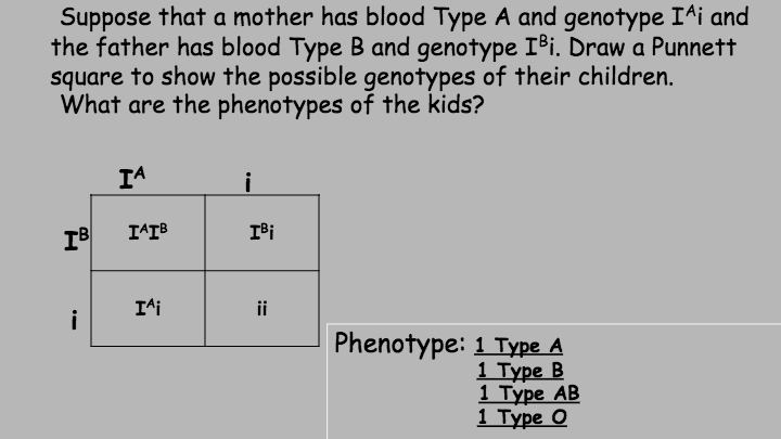 Multiple Alleles/Blood Types | Biology - Quizizz