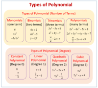 Polynomial Operations - Year 11 - Quizizz