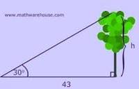 law of cosines - Grade 10 - Quizizz