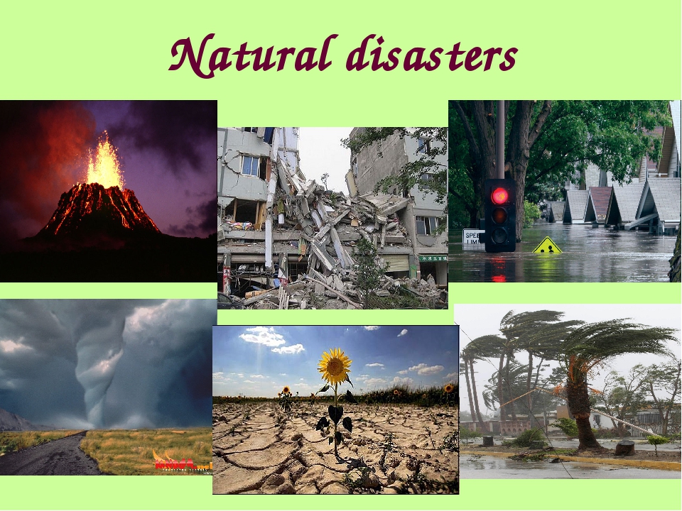 Natural Disasters | Quizizz