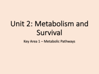 metabolism - Year 10 - Quizizz