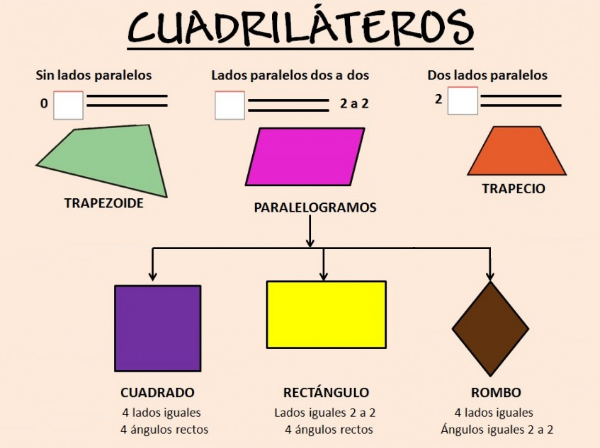 Clasificación de cuadriláteros - Grado 10 - Quizizz