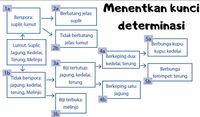 Klasifikasi dikotomi dan kunci determinasi