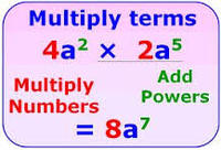 Monomials Operations - Year 9 - Quizizz