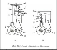 phân phối bình thường Flashcards - Quizizz