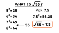 Roots - Class 8 - Quizizz