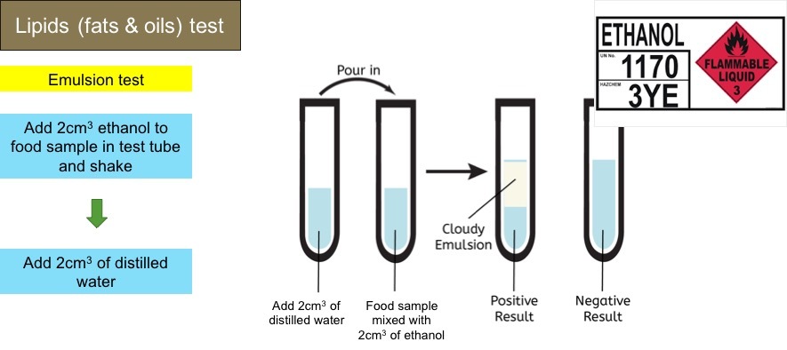 Grade 9 Food testing