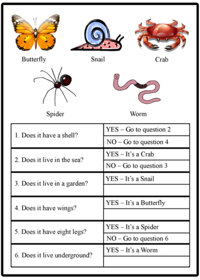 Dichotomous Key | 78 Plays | Quizizz