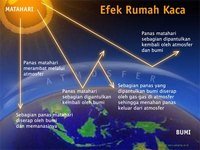 Pertanyaan Pemahaman Nonfiksi - Kelas 7 - Kuis