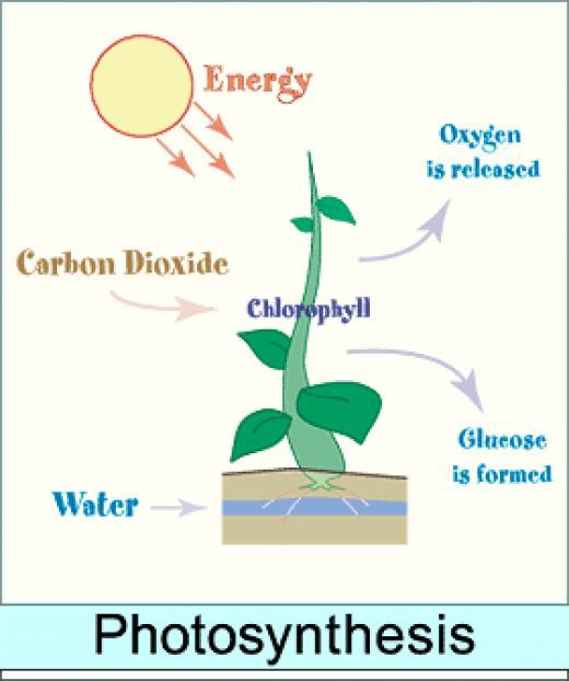 esa-photosynthesis