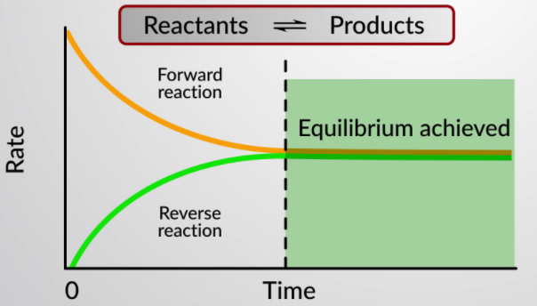 chemical equilibrium - Class 9 - Quizizz