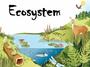 Ecosystem