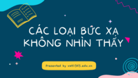 Bức thư X - Lớp 12 - Quizizz