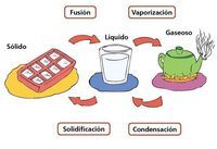 estados de la materia y fuerzas intermoleculares - Grado 4 - Quizizz