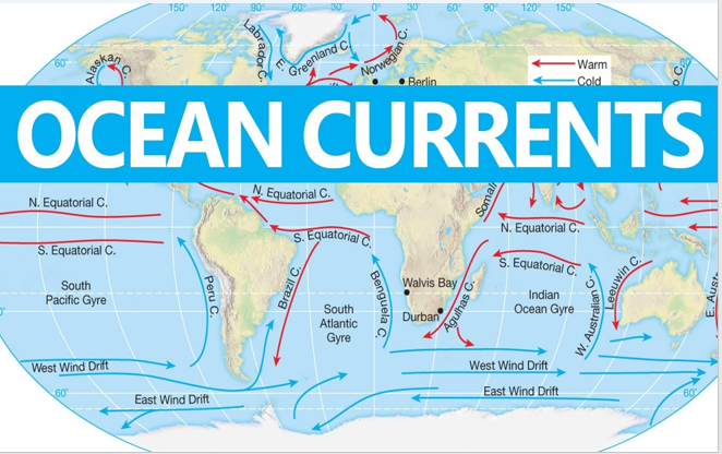 OCEAN CURRENTS | Quizizz