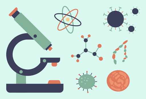 los sistemas digestivo y excretor - Grado 7 - Quizizz