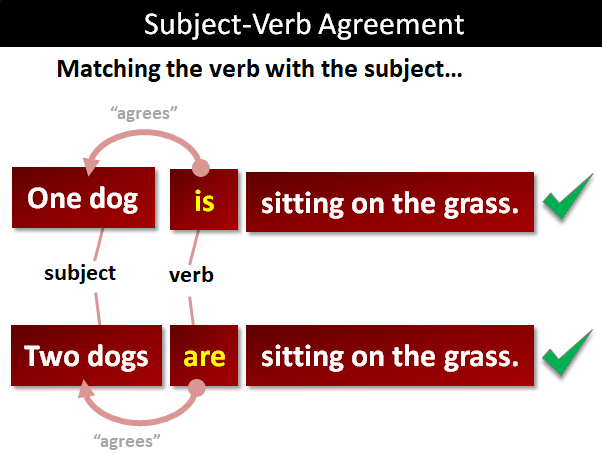 Year 6 Subject Verb Agreement English Quizizz