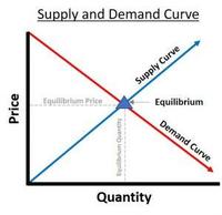 supply and demand curves - Grade 11 - Quizizz