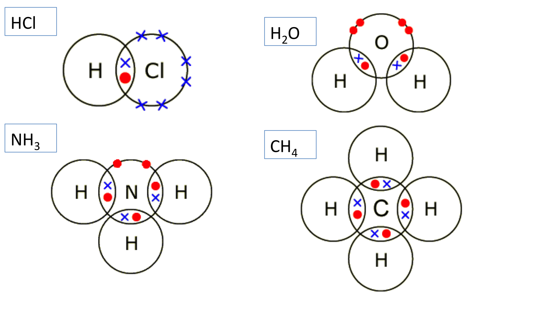 Simple Covalent Molecules | Quizizz